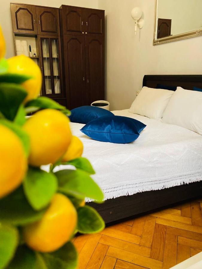 Centr Opera House 2 Rooms Lwów Zewnętrze zdjęcie